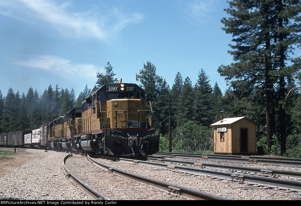 UP 3197 East on SP Donner Pass